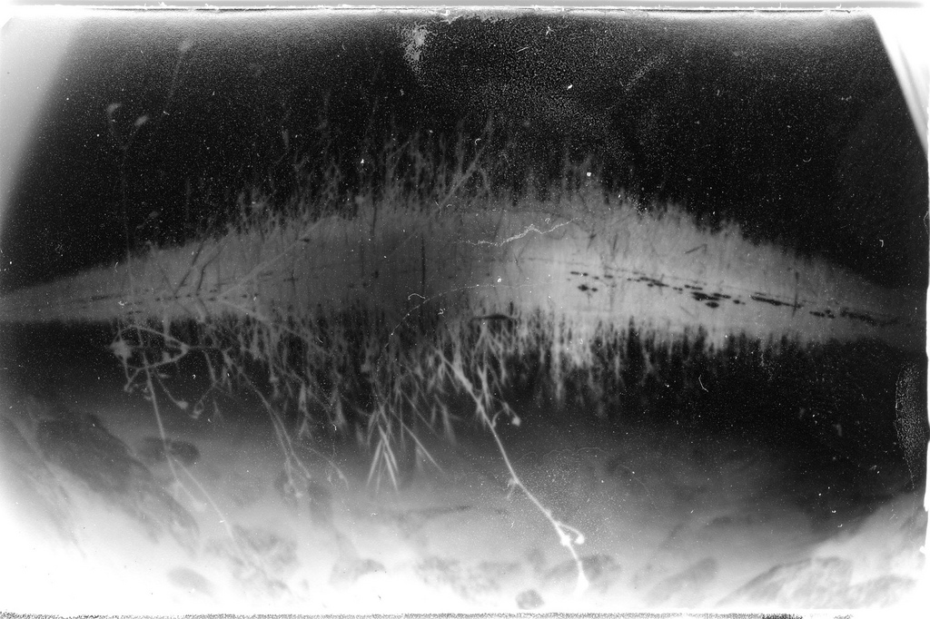 From the series "Island Life"